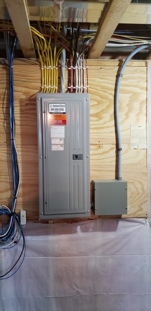 hammond electric panel